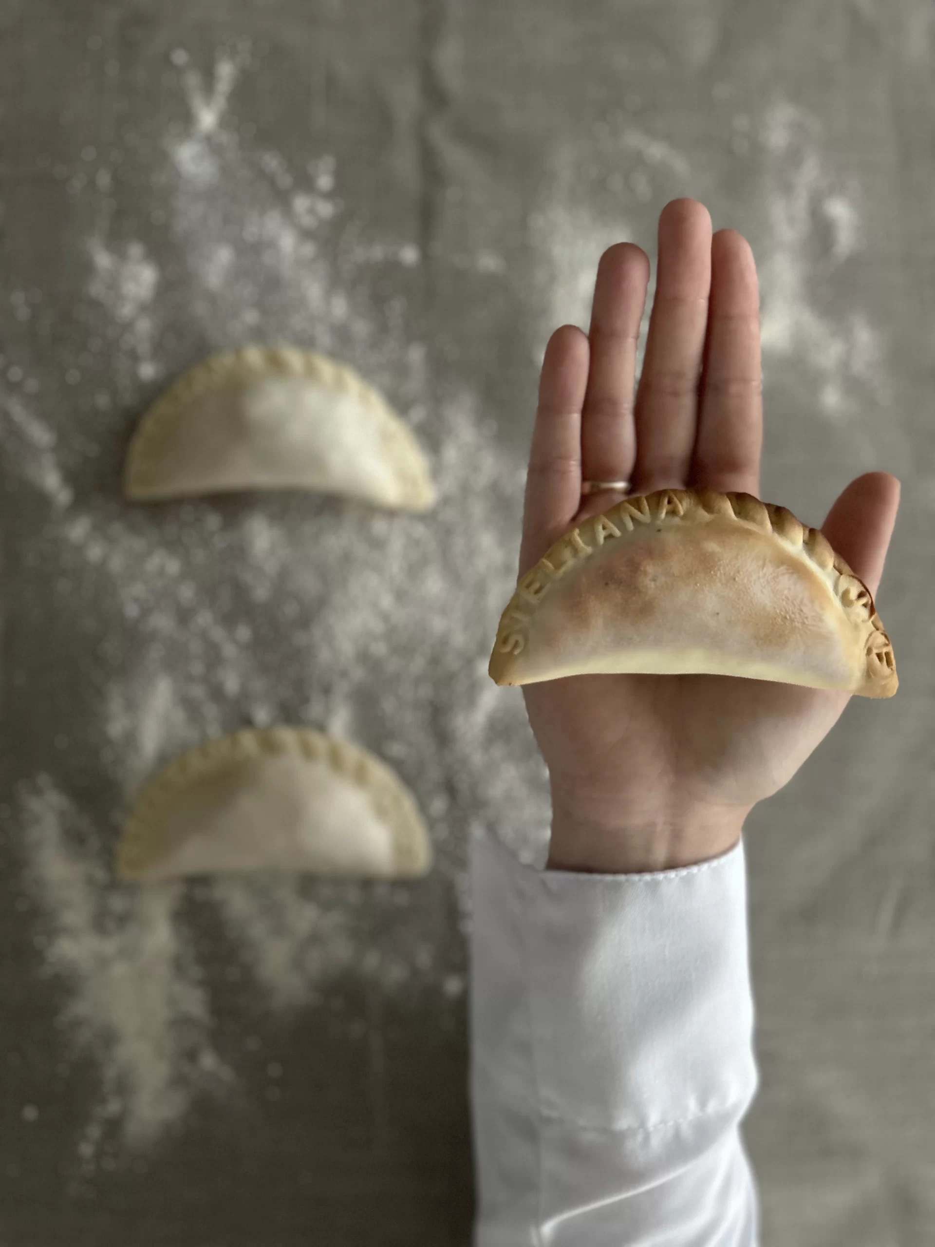 Empanadas argentines artisanales Steliana